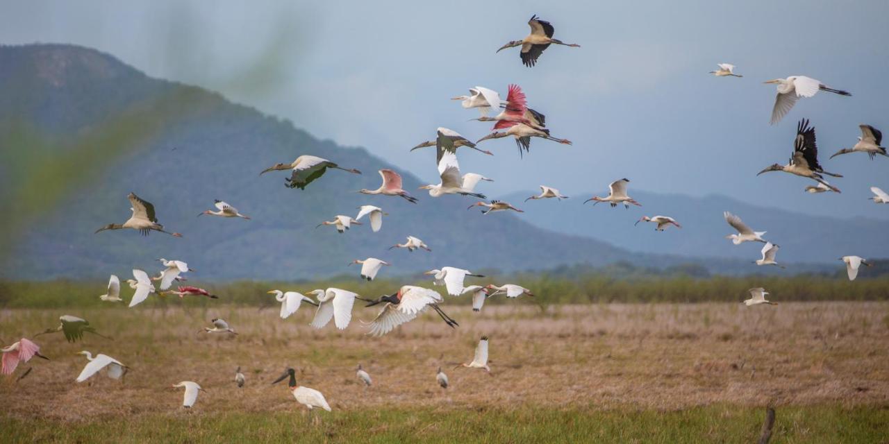 Rancho Humo Estancia Puerto Humo  Екстериор снимка